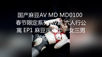 MDHG0004 麻豆传媒 这个面试有点硬 女优私密档案 高冷甜美傻气大姐 宋南伊