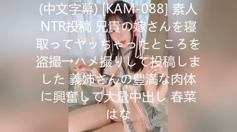 (中文字幕) [KAM-088] 素人NTR投稿 兄貴の嫁さんを寝取ってヤッちゃったところを盗撮→ハメ撮りして投稿しました 義姉さんの豊満な肉体に興奮して大量中出し 春菜はな