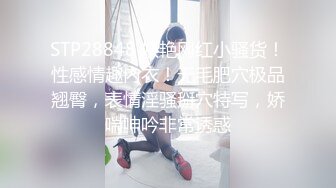 【新片速遞 】起点传媒 性视界传媒 XSJTC07 报複高傲女上司 羽芮(坏坏 林沁儿 芳情)【水印】