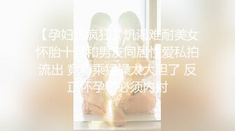 摄影大师大尺度作品女神annie国风特殊质感透明旗袍若隐若现