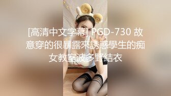 [高清中文字幕] PGD-730 故意穿的很暴露來誘惑學生的痴女教室波多野結衣