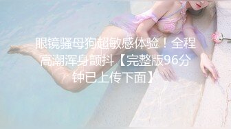 睡不醒的老婆3