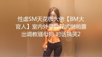 性虐SM天花板大佬【BM大官人】室内外各种花式啪啪露出调教骚母狗 对话搞笑2