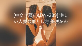 (中文字幕) [ADN-289] 淋しい人妻の堕とし方 美咲かんな