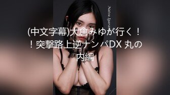 (中文字幕)大倉みゆが行く！！突撃路上逆ナンパDX 丸の内編