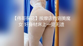 【AI换脸视频】刘亦菲 援交 下