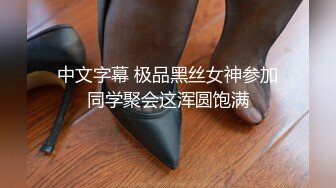 中文字幕 极品黑丝女神参加同学聚会这浑圆饱满