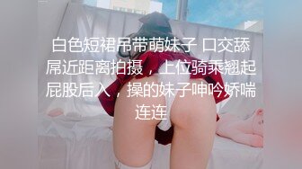 麻豆传媒MD-0230-1家族团圆饭EP1新年乱伦母女