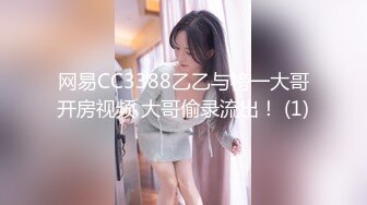 91制片厂 ZCM001 回忆杀の诱惑淫乱浪姐销魂榨精 李蓉蓉