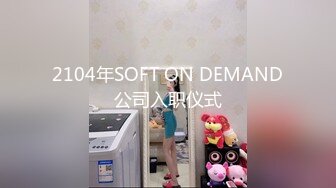 2104年SOFT ON DEMAND公司入职仪式