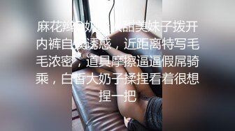 麻花辫D奶新人甜美妹子拨开内裤自摸诱惑，近距离特写毛毛浓密，道具摩擦逼逼假屌骑乘，白皙大奶子揉捏看着很想捏一把