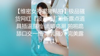 小骚货-老板娘-女同-良家-迷人-酒吧-肛交-简芥