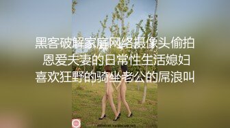 97女友，后入另一部分