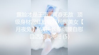 爱衣撕坦，极品女友三