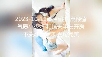 牛B大神商场女厕暗藏摄像头偷窥53位美女少妇嘘嘘 (28)