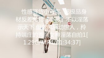 黏黏团子兔 NO.035 梦巴黎