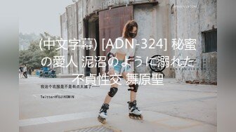 (中文字幕) [ADN-324] 秘蜜の愛人 泥沼のように溺れた不貞性交 舞原聖