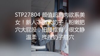 【AI换脸视频】李沁 享受绝美女骑手的淫乱盛筵 无码