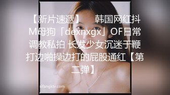 极品女友镜子前被干