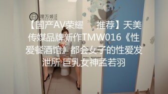 91经典系列资源整理合集P17【33V】 (14)