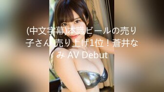 (中文字幕)本職ビールの売り子さん 売り上げ1位！蒼井なみ AV Debut