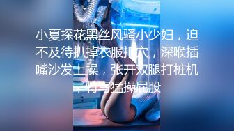 小夏探花黑丝风骚小少妇，迫不及待扒掉衣服扣穴，深喉插嘴沙发上操，张开双腿打桩机，特写猛操屁股