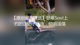 【原创国产精选】怒草Soul上约的沈阳小骚货，贼啦淫荡