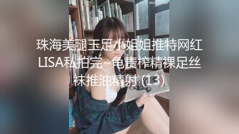 珠海美腿玉足小姐姐推特网红LISA私拍完~龟责榨精裸足丝袜推油精射 (13)