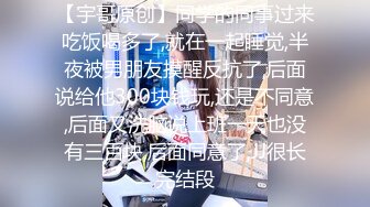 2024年一月最新流出【极品新厕拍】尝鲜版,个个都是顶级高颜值美女1080P高清