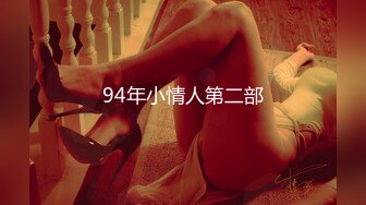 94年小情人第二部