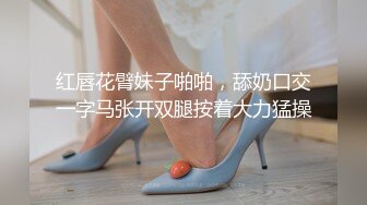 帝都骚女自慰棒假鸡巴双重刺激