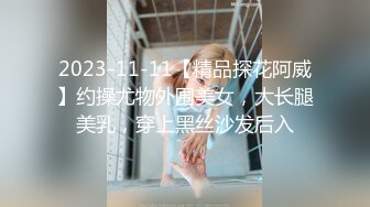 Al—IU 束缚捆绑调教骚逼