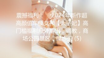 震撼福利☆☀️2024年新作超高颜值车模女神【太子妃】高门槛福利户外露出，调教，商场公园景区，屌炸天 (5)