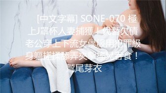    [中文字幕] SONE-070 極上J罩杯人妻捕獲！代替欠債老公穿上下流女僕服用犯罪級身軀搓揉舔弄夾擊搖晃吞食！ 鷲尾芽衣