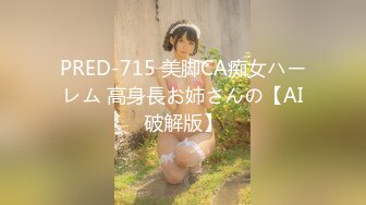 PRED-715 美脚CA痴女ハーレム 高身長お姉さんの【AI破解版】