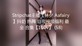 Stripchat主播【林夕 Aafairy】抖奶 热舞 自慰视频福利 最全 合集【100v】 (58)