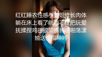 10-17小凡寻花会所约操红色礼服技师，极品人妻抱起来对着镜子操