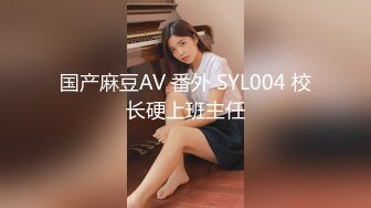 国产麻豆AV 番外 SYL004 校长硬上班主任