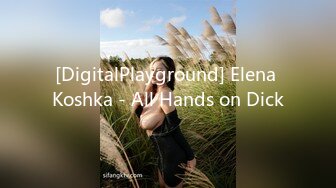 [DigitalPlayground] Elena Koshka - All Hands on Dick